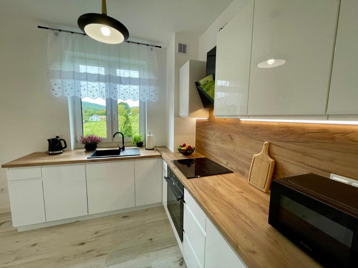 Apartament Jak Marzenie Ustrzyki Dolne Extérieur photo